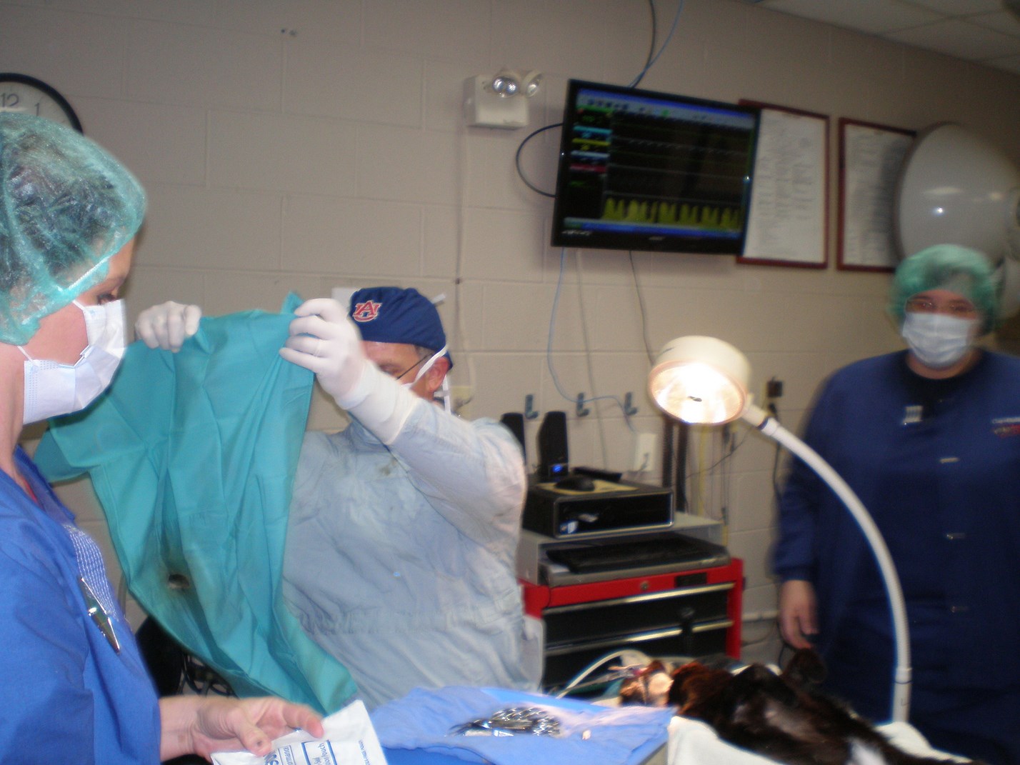 Pinson, AL Advanced Veterinary Services ClayChalkville Animal Clinic