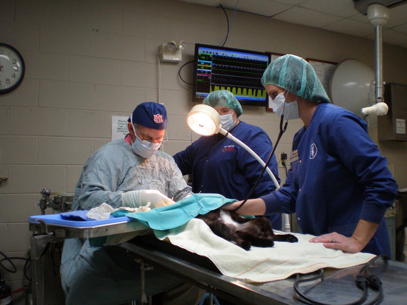 Pinson, AL Advanced Veterinary Services ClayChalkville Animal Clinic