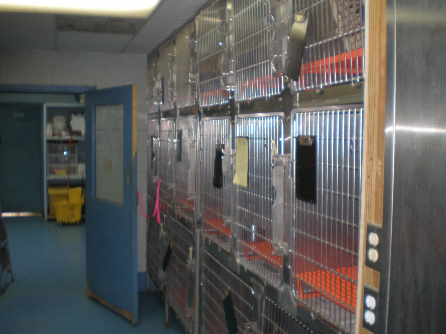 Boarding & Grooming Pinson, AL Veterinarians Animal Clinic